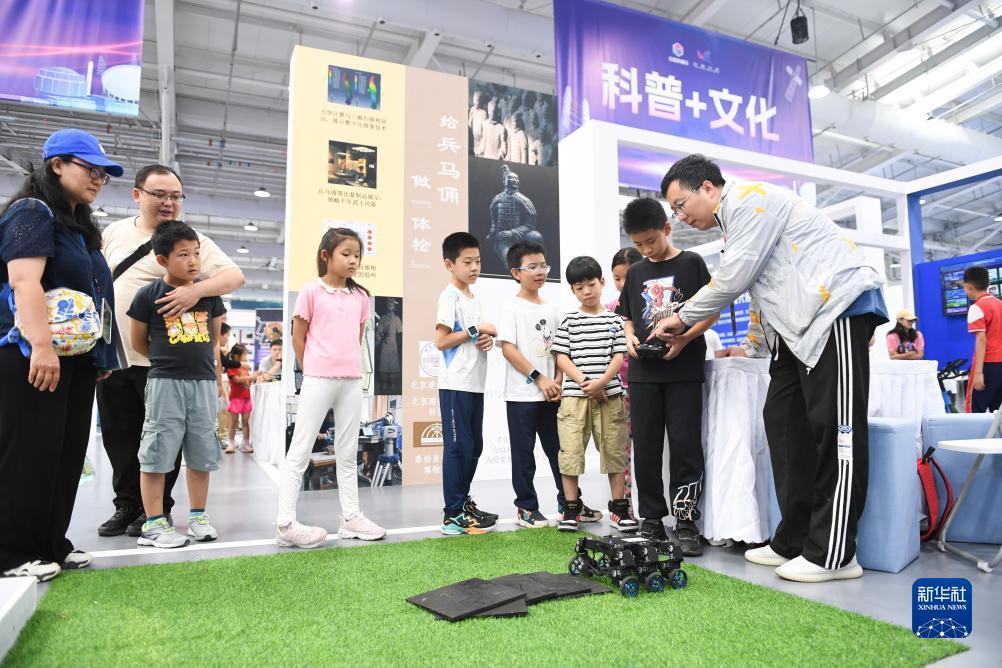 金鲨鱼银鲨鱼